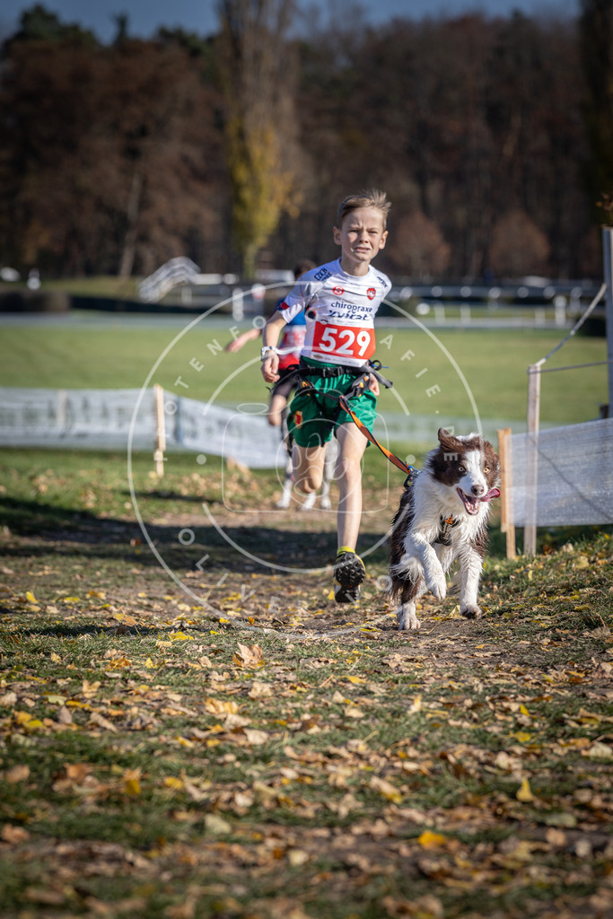 CaniXpix_DV3A8229 | Hundefotografie, Tierfotograf, Pfotenfotografie, Fotoshooting Hund, Hunde Portrait, Hundesport, Hundeportraits, Heideshooting, Hunde, Sportfotograf, Hundefotograf, Turnierhundsport, THS,  - Realisiert mit Pictrs.com