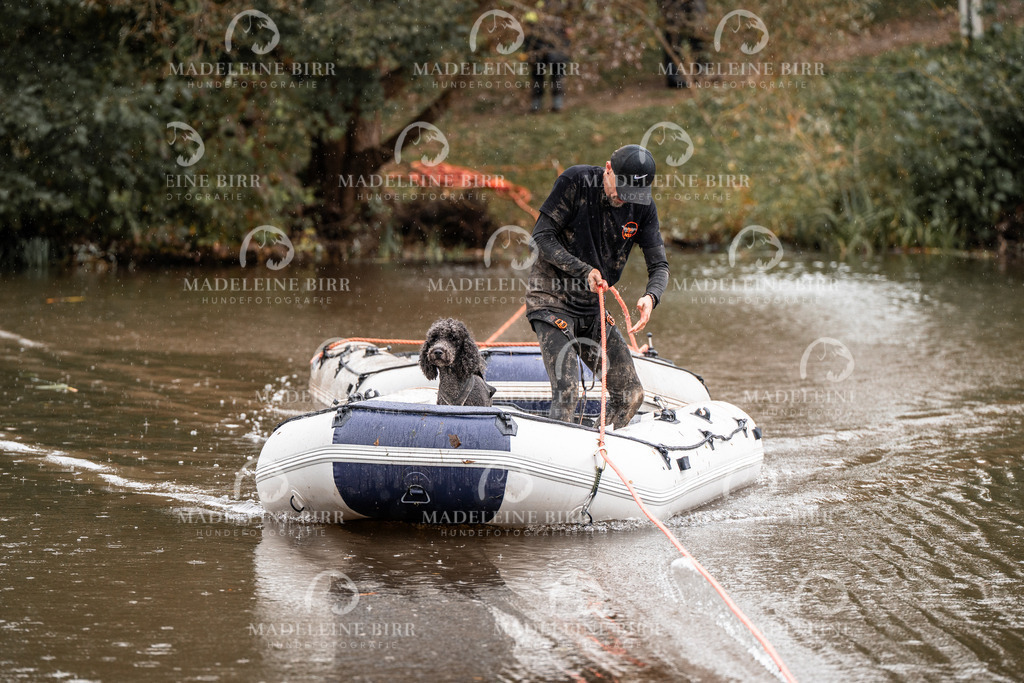 madeleinebirr-fotografie2025.campcanis.11-12Uhr-162 | hundefotografie-birr