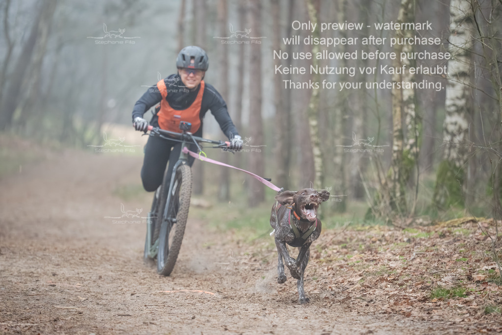 Scooter1-81 | stephaniefillaphotographie - Realisiert mit Pictrs.com