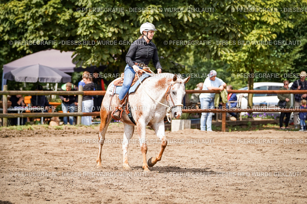 DSC07328 | Pferdegrafie