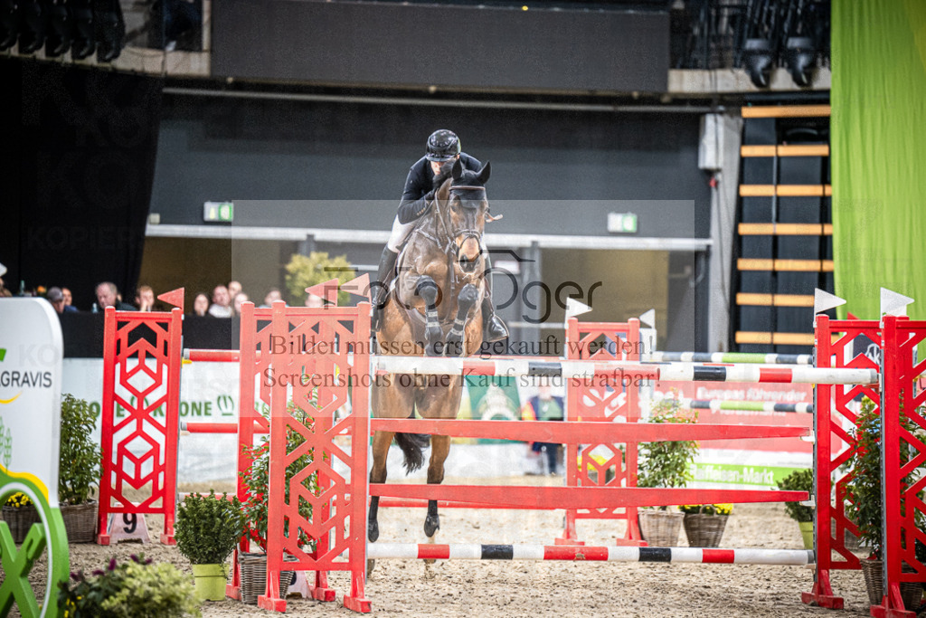 DOS_3383 | Entdecke hochwertige Reitturnierfotos von Foto Oger. Professionell, emotional und authentisch – jetzt Lieblingsmomente im Shop bestellen.Deutschlandweite Turnierfotografie. - Realisiert mit Pictrs.com