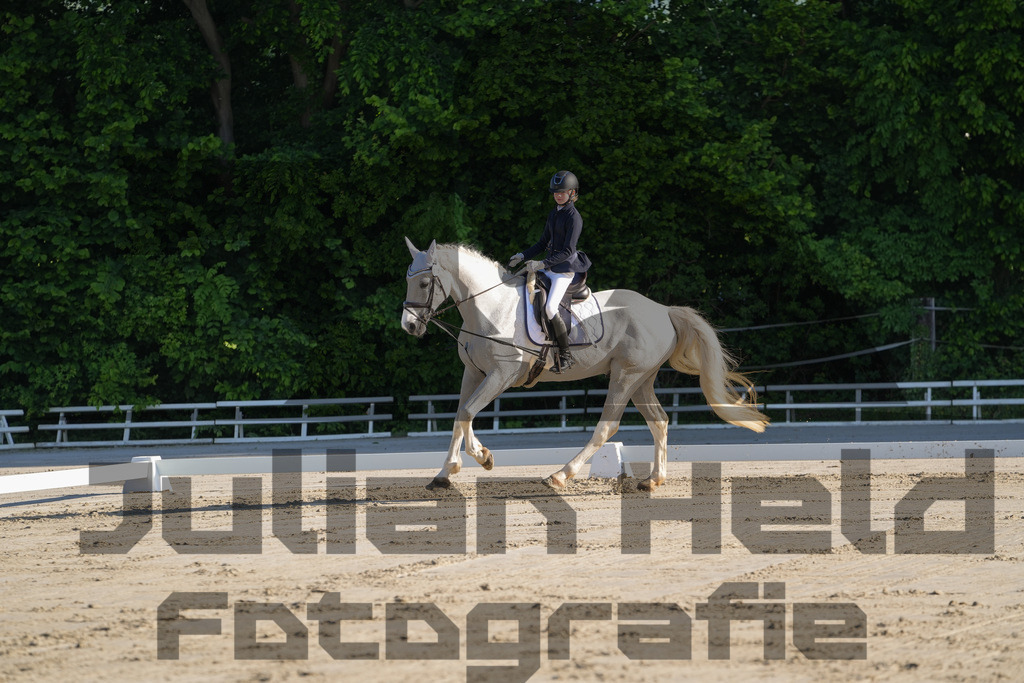 DSC02692 | Julian Held Fotografie - Realisiert mit Pictrs.com