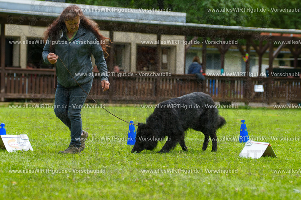 @allesWIRTHgut_Tierfotografie - www.allesWIRTHgut.de - 7R501719 | Professionelle Tierfotografie in Mönchengladbach von Daniel Wirth (allesWIRTHgut). Liebevolle & natürliche Bilder von Hunden & Katzen für unvergessliche Erinnerungen.