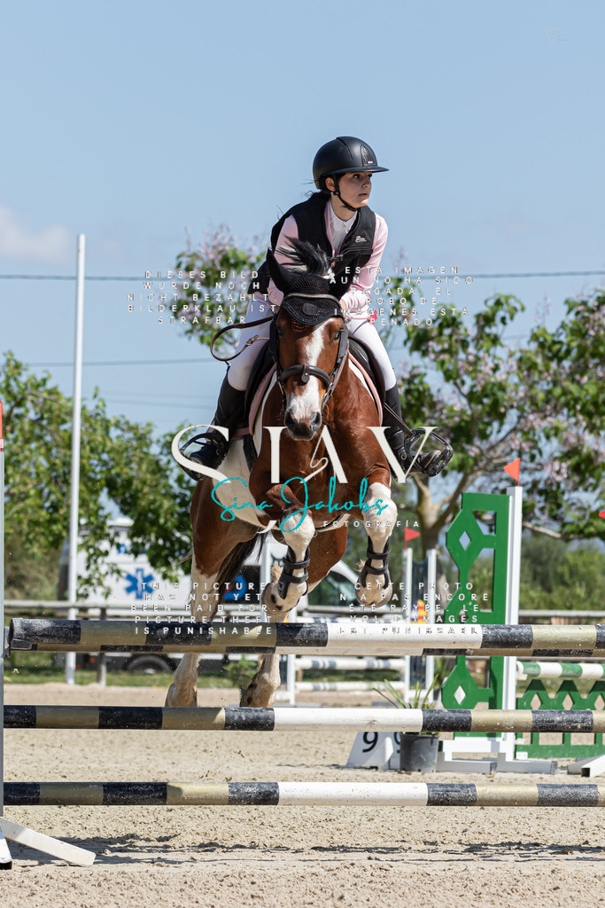 IMG_0642 | s-jay-photography - Realisiert mit Pictrs.com