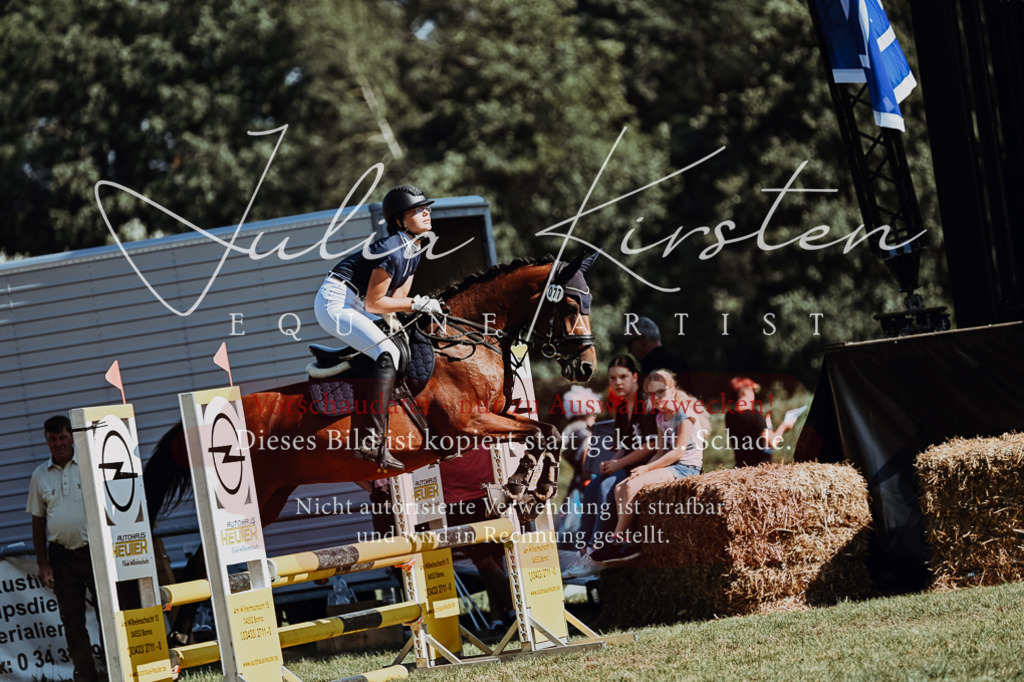 DSC_6948 | Pferde- und Turnierfotografie in Westsachsen. Pferdeportraits, Auftragszeichnungen und intuitive Kunst.
