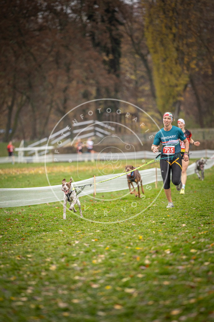 CaniXpix_DV3A9296 | Hundefotografie, Tierfotograf, Pfotenfotografie, Fotoshooting Hund, Hunde Portrait, Hundesport, Hundeportraits, Heideshooting, Hunde, Sportfotograf, Hundefotograf, Turnierhundsport, THS,  - Realisiert mit Pictrs.com