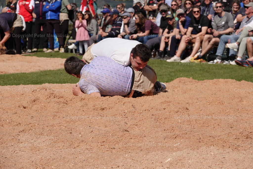 DSC02333 | Schwingen - Realisiert mit Pictrs.com