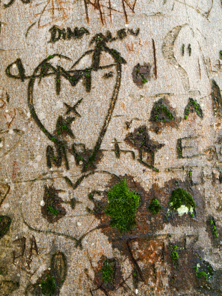 Baumrinde mit Inschrift_05 | Stockfotos, Fotos mit Miniaturfiguren und kreativen Ideen. Dabei auch vieles aus der Metropolregion Rhein-Neckar. 