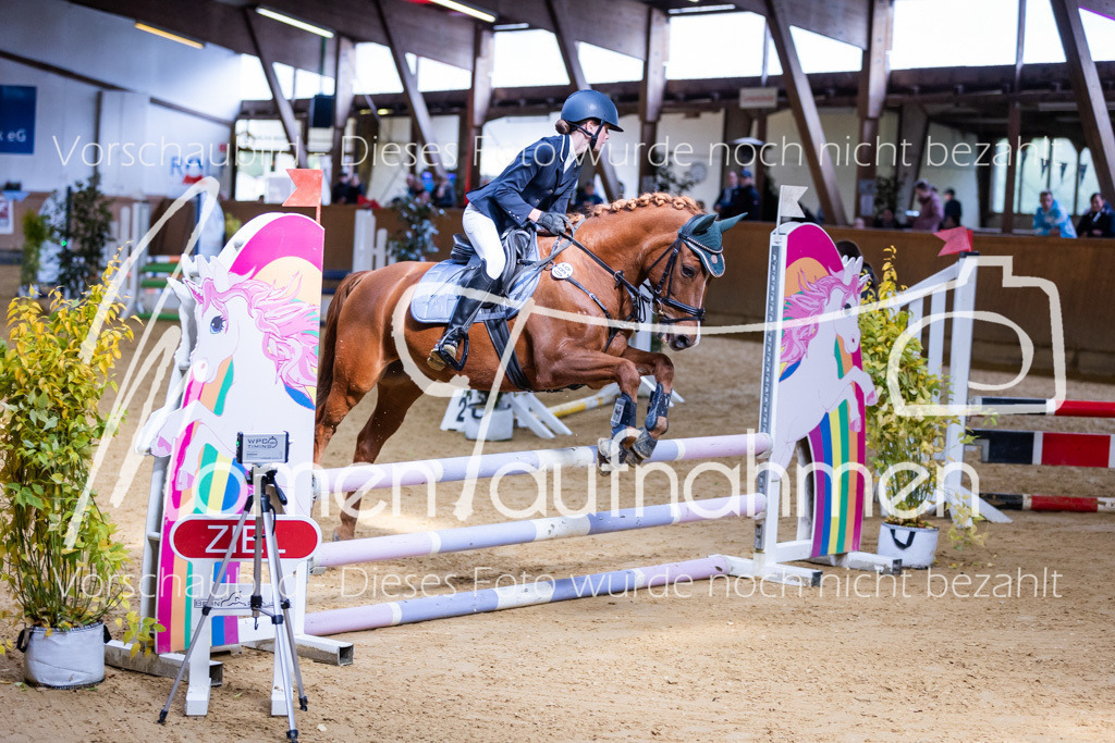 Sth-E-Springen-029 | MomenTaufnahmen Pferdesportfotos