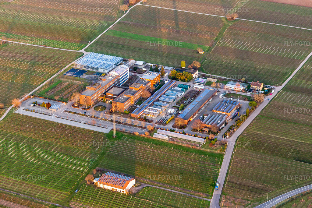 Luftbild: Mußbach, RLP Agroscience GmbH, DLR-Dienstleistungszentrum Ländlicher Raum Rheinpfalz, im Ortsteil Mußbach in Neustadt im Bundesland Rheinland-Pfalz in Deutschland. Foto: IMG_130614.jpg vom 12.02.2022 durch Werner Riehm/FLY-FOTO.deWWW.DLR-RHEINPFALZ.RLP.DE