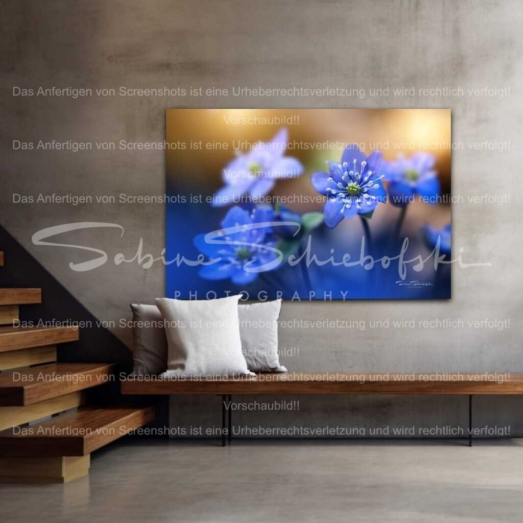 "Frühlingszauber in Blau" | Dein Zuhause verdient besondere MomenteMit diesem Motiv schaffst du eine warme, stilvolle Atmosphäre – ganz ohne Aufwand.Erhältlich u.a. als Leinwand, Acrylglas, Alu-Dibond oder Fine Art Print. - Realisiert mit Pictrs.com