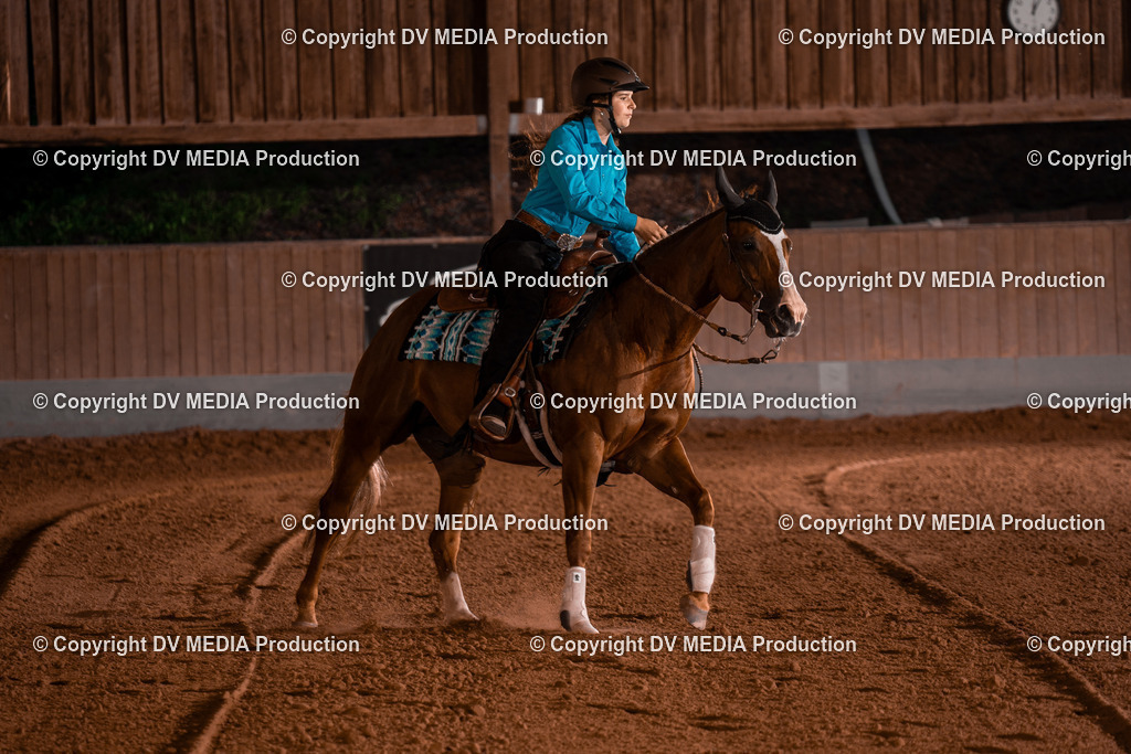 NE201527 | dv-media-shop - Realisiert mit Pictrs.com