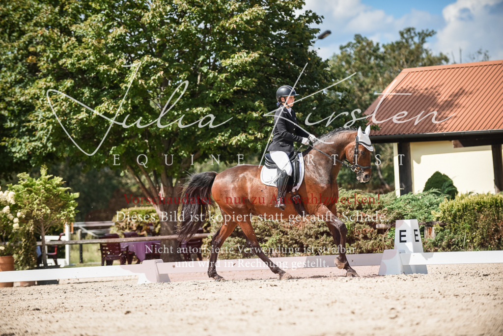 DSC_9301 | Pferde- und Turnierfotografie in Westsachsen. Pferdeportraits, Auftragszeichnungen und intuitive Kunst.