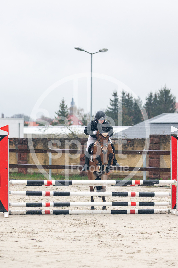 DSC_8359 | sattelsport - Realisiert mit Pictrs.com