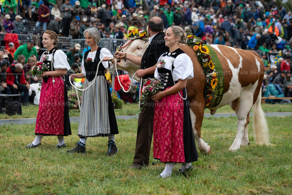 Schwingen -  Unspunnen 2023 | Interlaken, 27.8.23, Schwingen - Unspunnen.