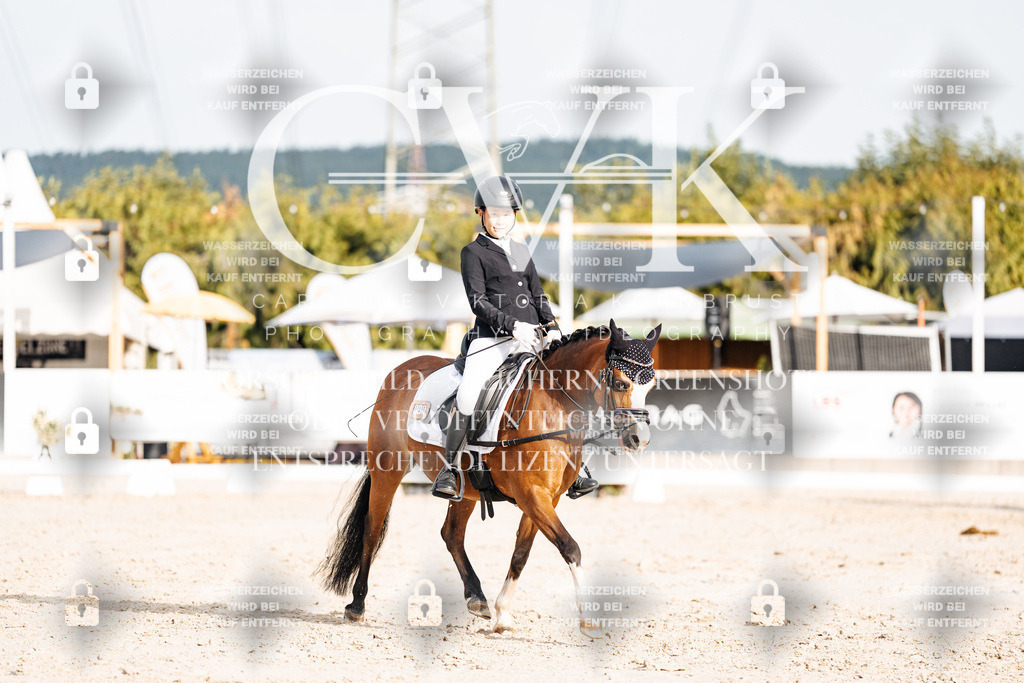 CK904180 | Turnierfotografie Pferdefotografie Trier Rheinland-Pfalz Pferdesport Reitsport Tierfotografie Sportfotografie Pferdevideo Pferdevideografie Equestrianvideography equestrianphotography  - Realisiert mit Pictrs.com