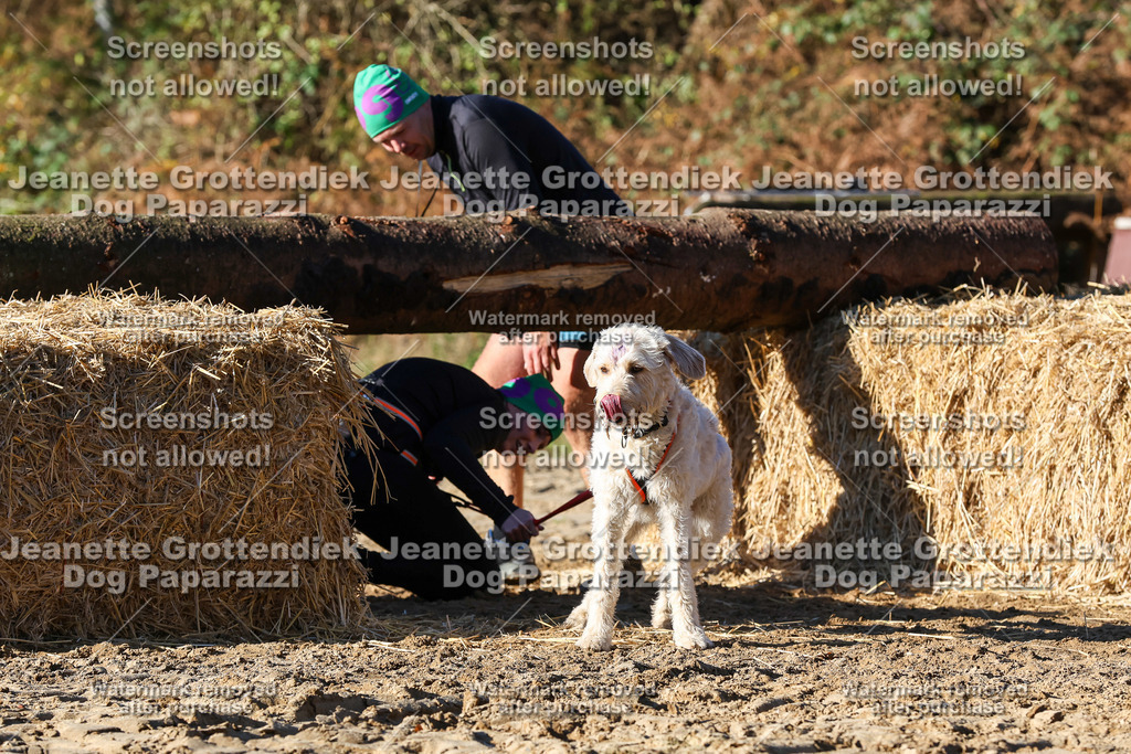 Dog Paparazzi - Strongdog 10-25-1873 | Dog Paparazzi Jeanette Grottendiek Fotografie & Videografie - Realisiert mit Pictrs.com