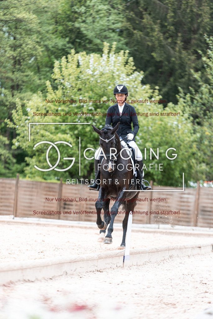 DSC_6885 | Turnierfotografin Carolin Gieschke,Reitsport Turnierfotografie Carolin G Fotografie | Turnierfotos aus Kirchheim/Teck, Esslingen, Stuttgart und dem Bodenseekreis