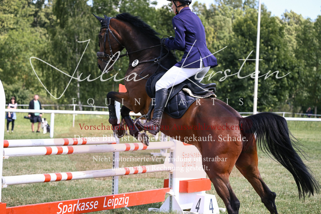 DSC_0420 | Pferde- und Turnierfotografie in Westsachsen. Pferdeportraits, Auftragszeichnungen und intuitive Kunst.