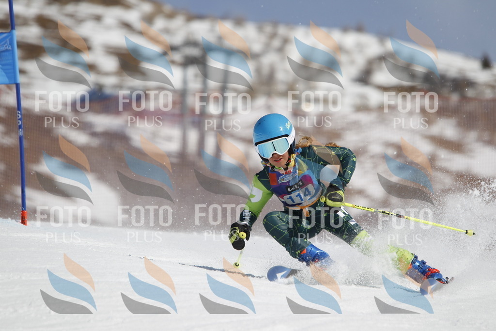 _U3G0578 | holidayphoto