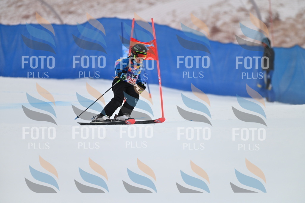 BGV_2154 | holidayphoto