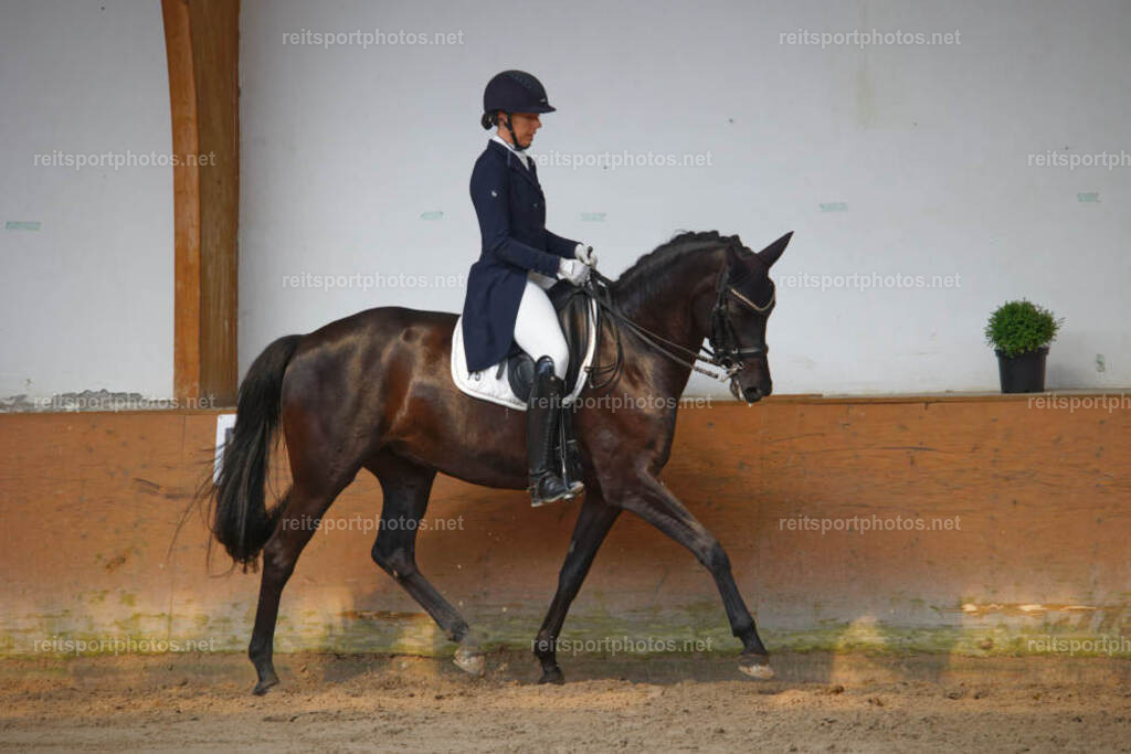 JHE_6569 | JoYa Fotografie - Realisiert mit Pictrs.com