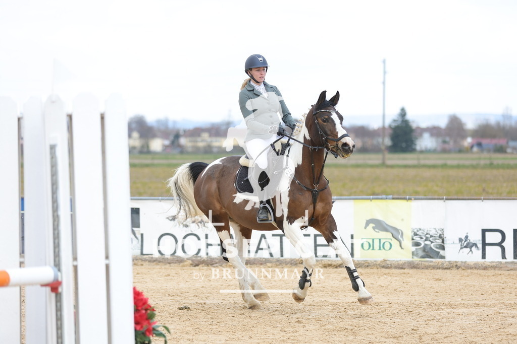 0P6A7823 | Willkommen bei Brunnmayr - Design & Fotografie – Ihrem Spezialisten für Reitturniere und Pferdeveranstaltungen in Oberösterreich, Salzburg und Bayern! Seit über 17 Jahren sind wir leidenschaftlich dabei.