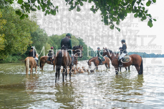 Jagd Perdoel_MarinaHewigDSCF3508 | Fotografie, FotoArt, PferdesportArt, Pferdesportfotografie, Landschaftsfotografie, Reisefotografie, Reise, Pferde - Realisiert mit Pictrs.com