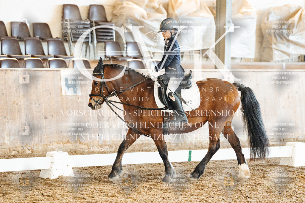 CK900577 | Turnierfotografie Pferdefotografie Trier Rheinland-Pfalz Pferdesport Reitsport Tierfotografie Sportfotografie Pferdevideo Pferdevideografie Equestrianvideography equestrianphotography  - Realisiert mit Pictrs.com