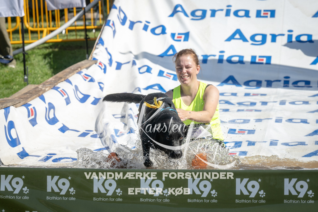 1145_ZZ93880 | kk-dogfotos