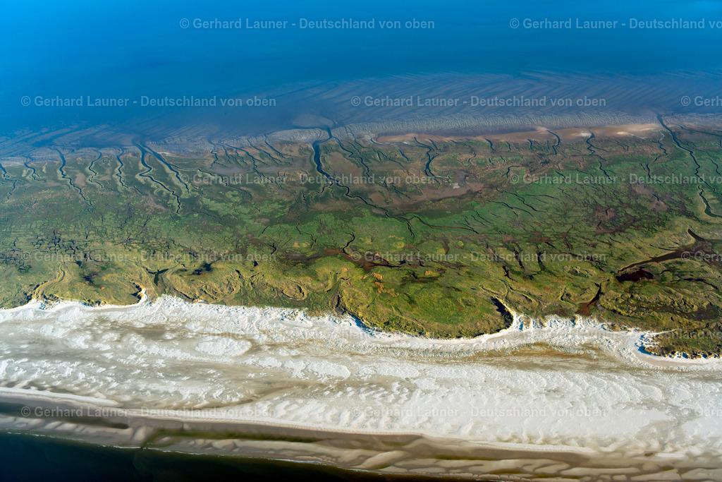 3801435 | Spiekeroog, Nationalpark Niedersächsisches Wattenmeer