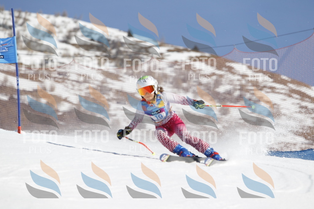 _U3G8831 | holidayphoto