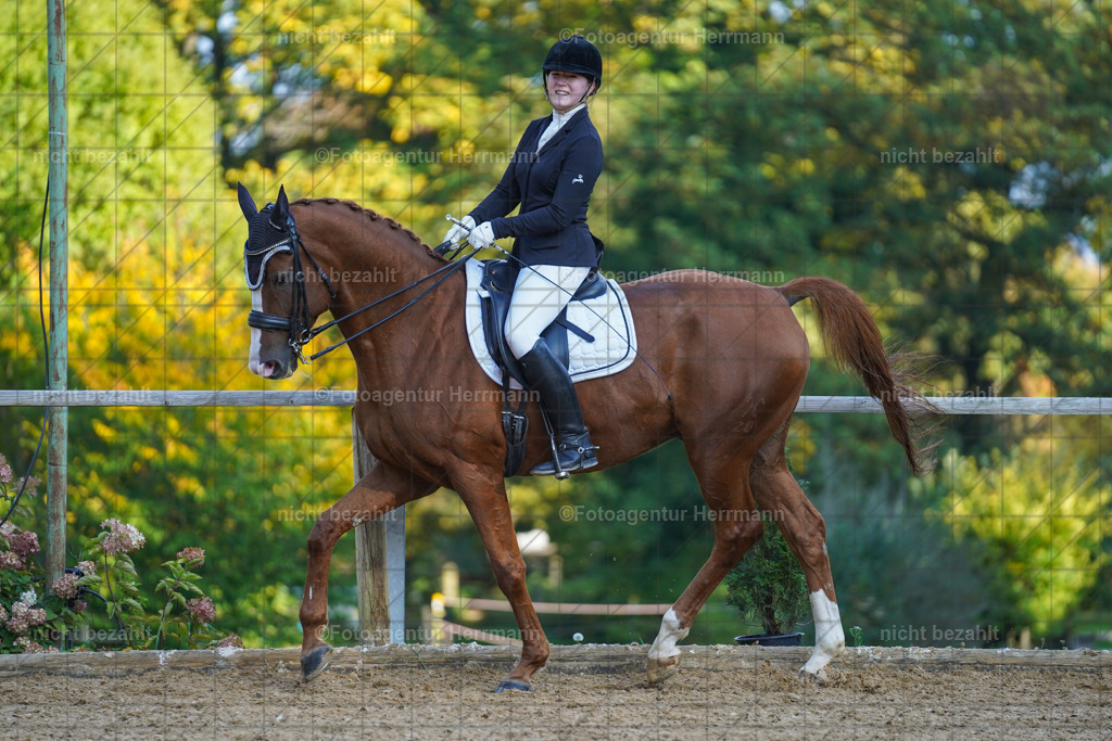 20221007-FAH00236 | Diessen am Ammersee, 2022, Dressur- und Springturnier, Reitsportbilder, Turnierfotografen Bayern, Pferdefotografen, Fotoagentur Herrmann, Turnierbilder