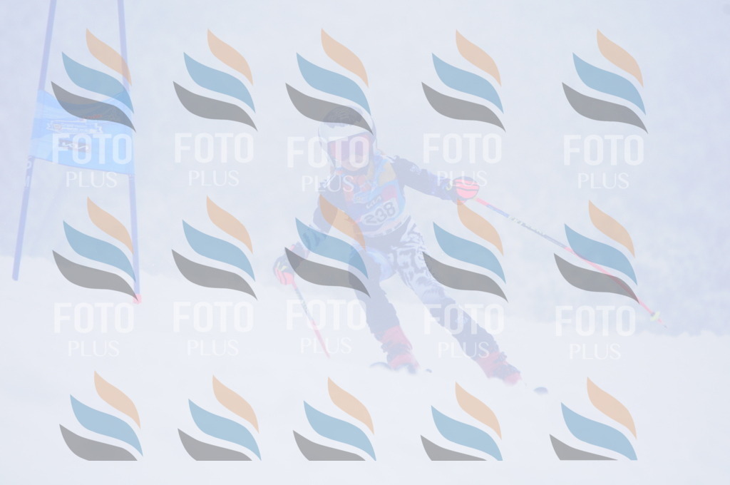 C2493 | holidayphoto