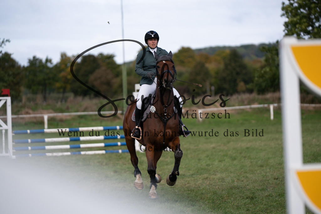 A7V06497 | Pferdefotograf