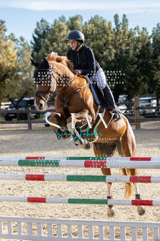 IMG_0550 | s-jay-photography - Realisiert mit Pictrs.com