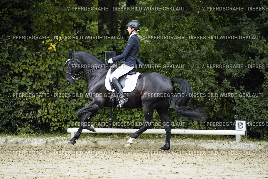 DSC00138 | Pferdegrafie