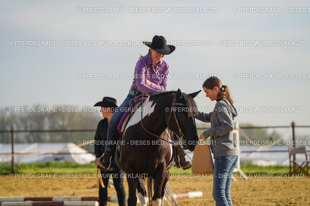 DSC00684 | Pferdegrafie