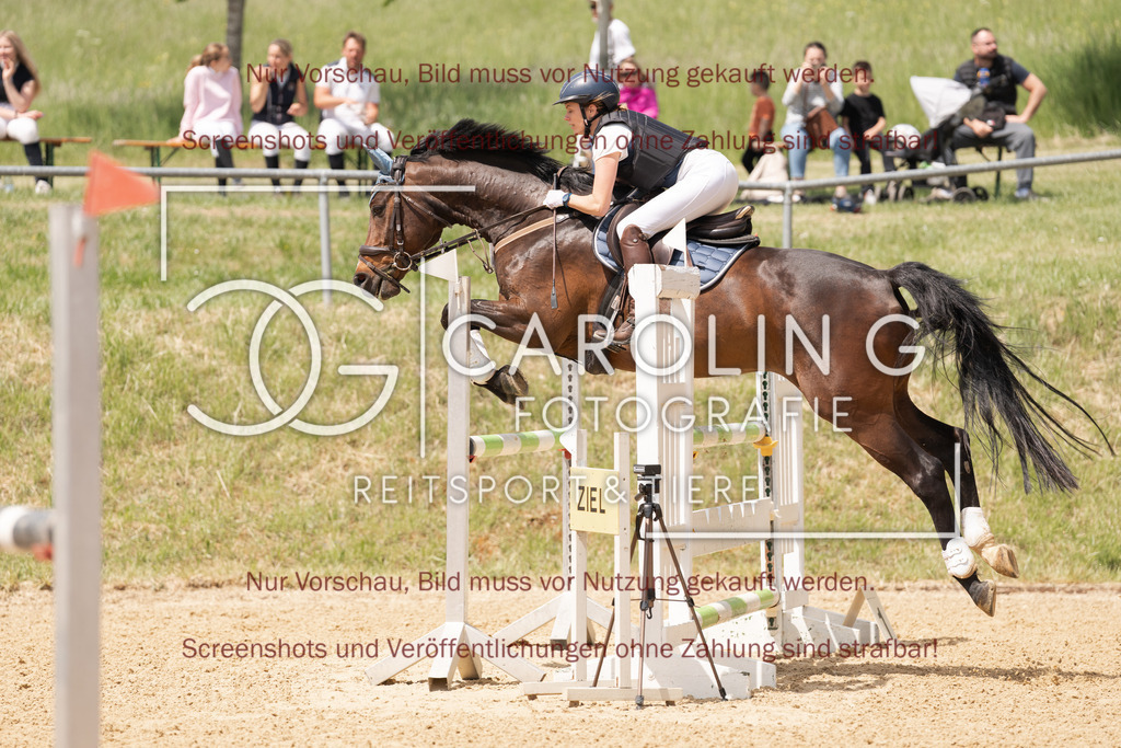DSC06549 | Springturnier_Ehingen_Mai_2026, Maike_Schemberg, Anjo_33