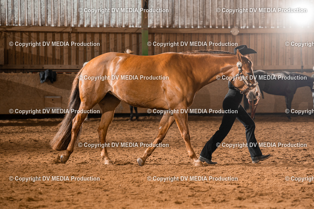 BAL01368 | dv-media-shop - Realisiert mit Pictrs.com