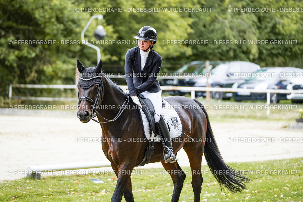 DSC09215 | Pferdegrafie