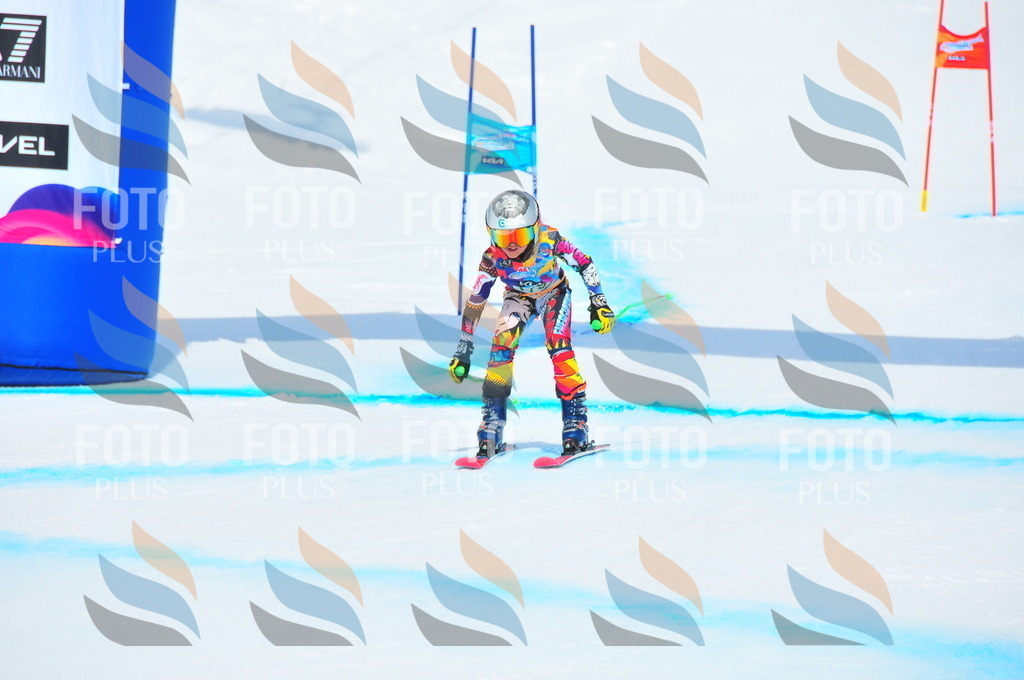 DSC_1631 | holidayphoto