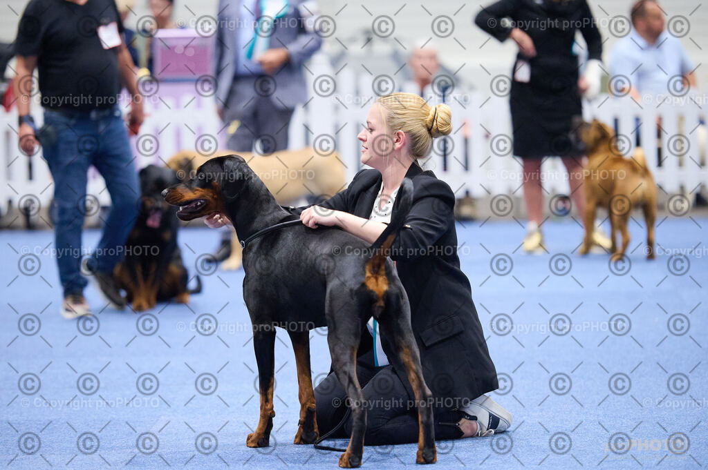 202406_ÖKV-IHA-Tulln24_DSC_2933 | proPHOTO - Realisiert mit Pictrs.com