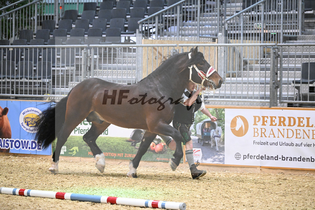 Kat-Nr. 9 Rubino III W v. Rivero_Fritzmeier_1260157 | hf-fotografie - Realisiert mit Pictrs.com