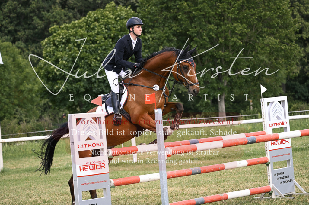 DSC_0998 | Pferde- und Turnierfotografie in Westsachsen. Pferdeportraits, Auftragszeichnungen und intuitive Kunst.