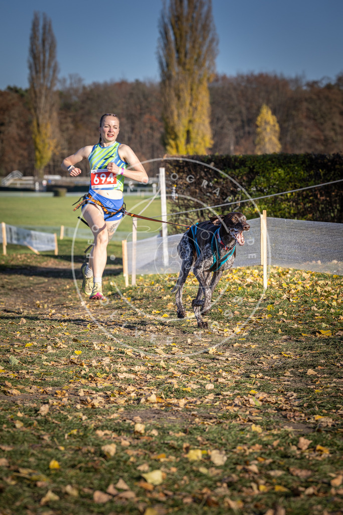 CaniXpix_DV3A1355 | Hundefotografie, Tierfotograf, Pfotenfotografie, Fotoshooting Hund, Hunde Portrait, Hundesport, Hundeportraits, Heideshooting, Hunde, Sportfotograf, Hundefotograf, Turnierhundsport, THS,  - Realisiert mit Pictrs.com