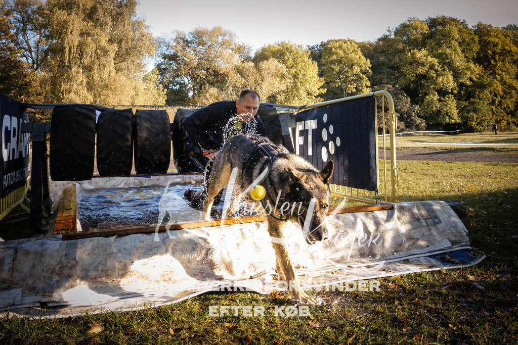 0930_ZZ91249 | kk-dogfotos