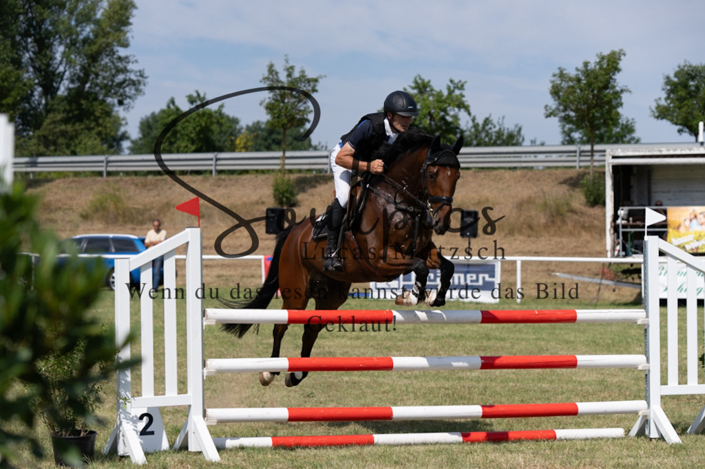 A7V01668 | Turnier/Reitfotograf