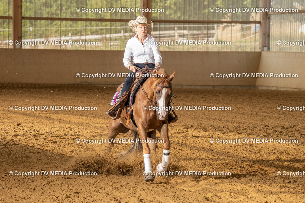 LAU01466 | dv-media-shop - Realisiert mit Pictrs.com