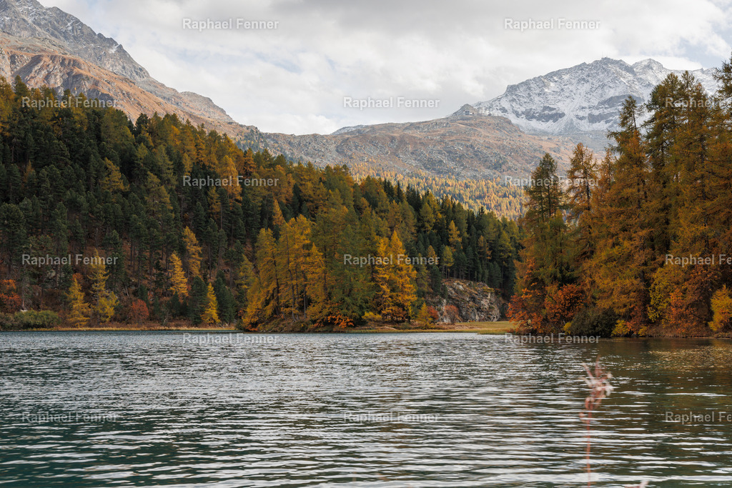 IMG_9585 | Erlebe eindrucksvolle Landschaftsfotografie aus dem Engadin und darüber hinaus. Raphael Fenner bietet zudem professionelle Fotoaufträge für Hochzeiten, Porträts und Unternehmen. Jetzt entdecken und inspirieren lassen!